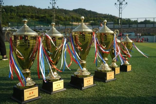 泰晤士报：曼联接近任命阿莫林 范尼可能只带一场